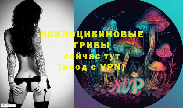 PSILOCYBIN Беломорск