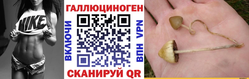 Галлюциногенные грибы мицелий  kraken ссылки  Ачхой-Мартан  где найти наркотики 