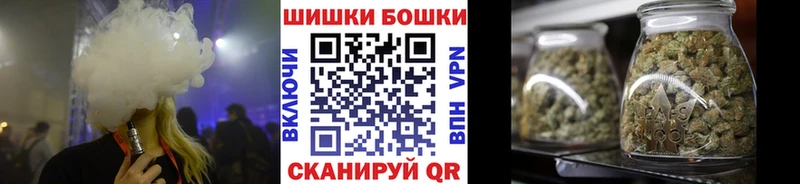 где купить   Ачхой-Мартан  Конопля SATIVA & INDICA 